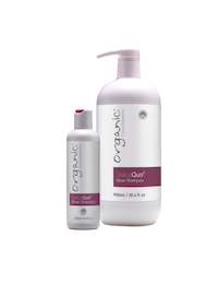 Status Quo Silver Shampoo